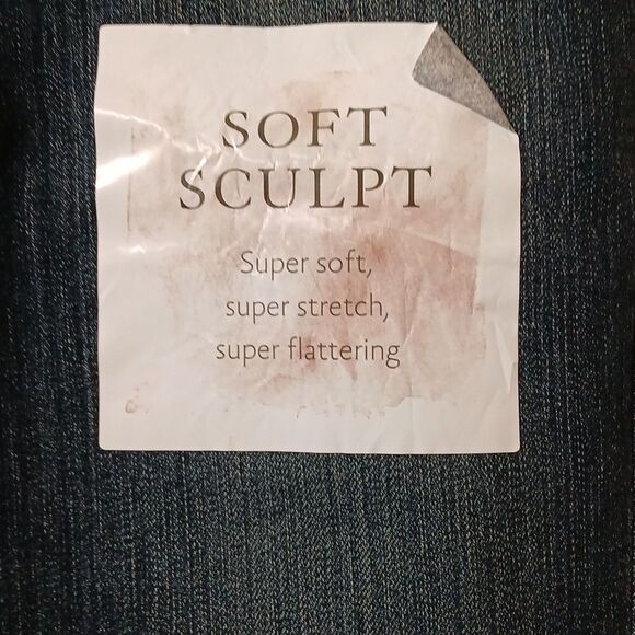 Jessica Simpson Wright Arrow Straight Skinny Jeans Sz 24 NWT Style 4301 On Going - Picture 4 of 12